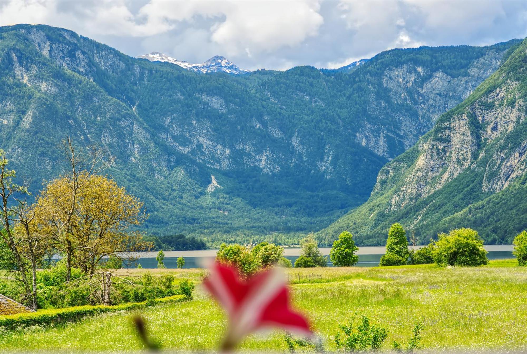 Apartments Kovacic Bohinj Buitenkant foto