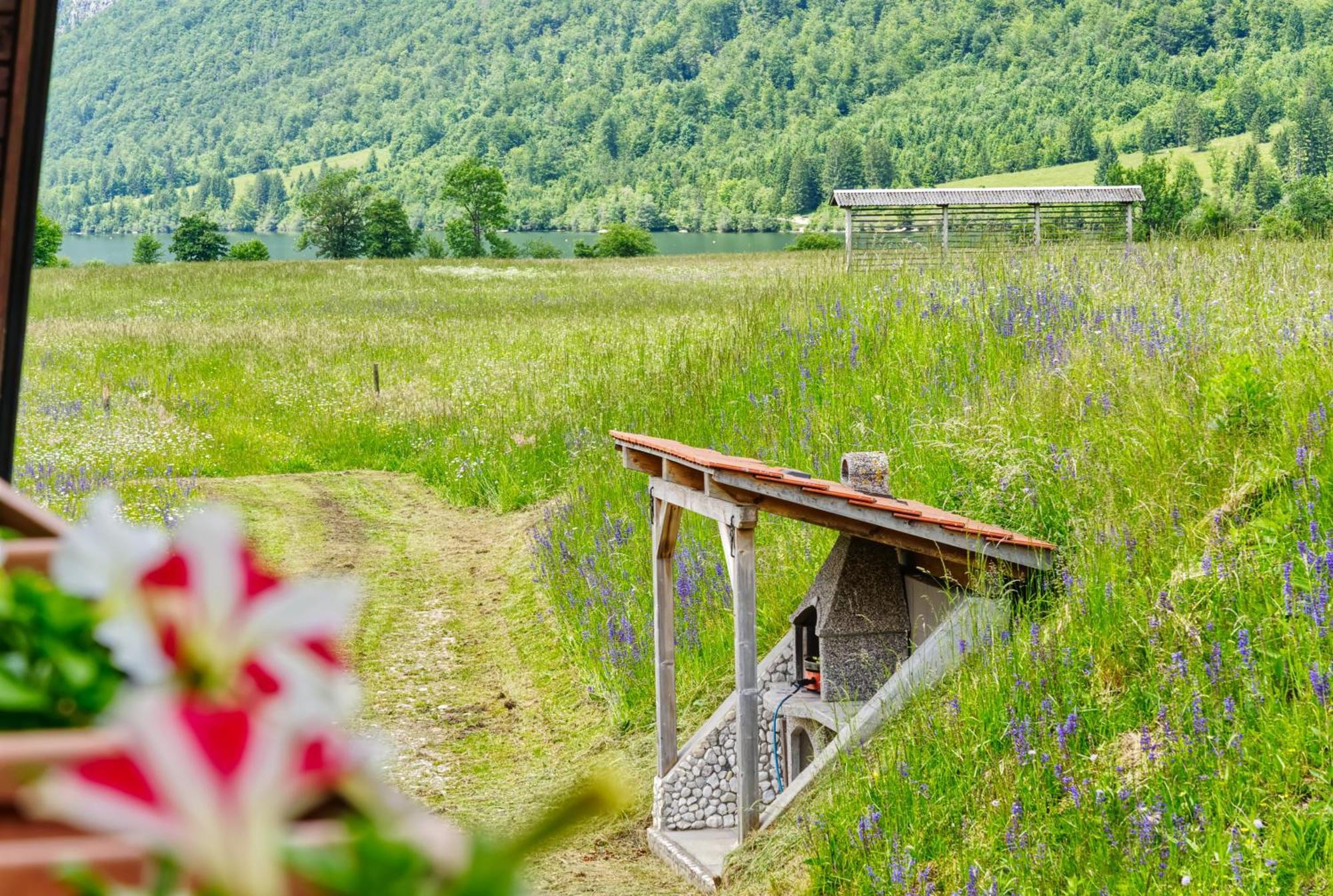 Apartments Kovacic Bohinj Buitenkant foto
